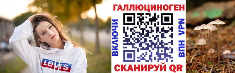 Псилоцибиновые грибы Psilocybine cubensis  Петушки 